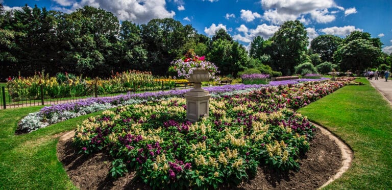 Dartford Central Park 1 768x372