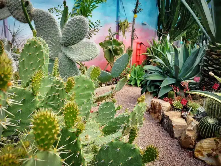 Hot Spiky Hot House alan Graham Lullingstone Castle 768x576